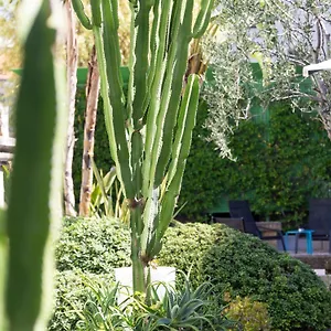 4* Otel Mercure Centre Notre Dame